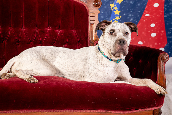 Foster Sylvester-0962