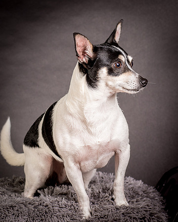 Foster Richa-0456