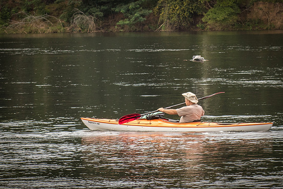 Kayaking Catawba-4928