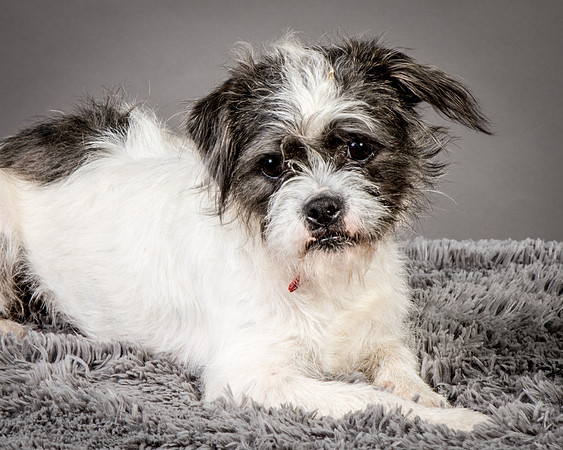 Foster Leeza-2619