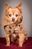 Foster Pancho-9483