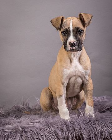 Foster Barnabas-4476