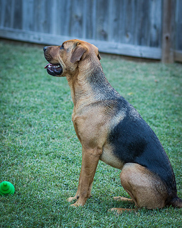 Foster Maya-0403