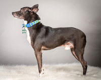 Foster Luc-5045