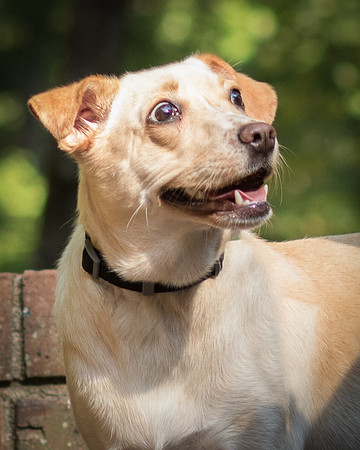 Foster June-8397
