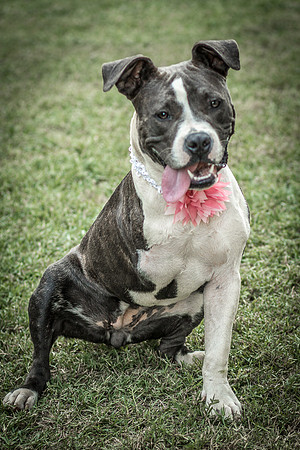 Foster Maya-0325