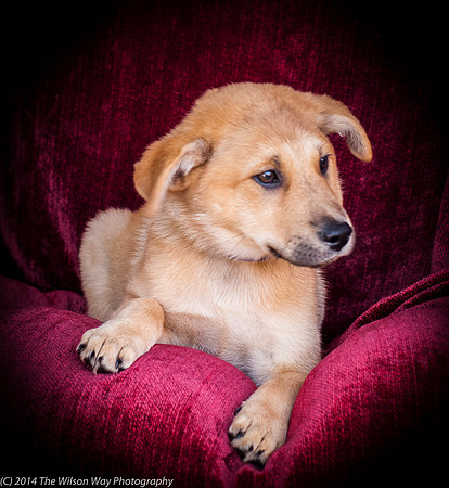 Foster Luca-9025