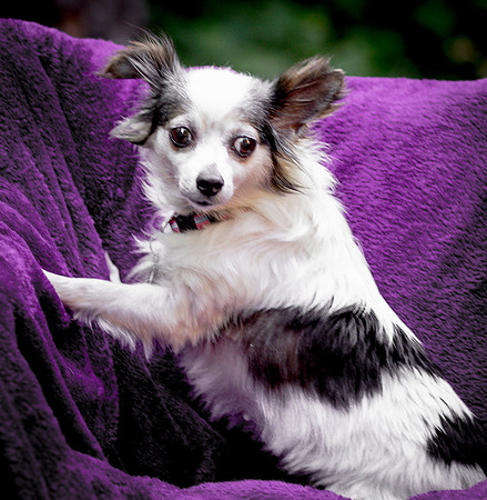 Foster Anouk-8775