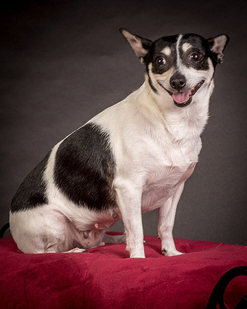 Foster Richa-0590