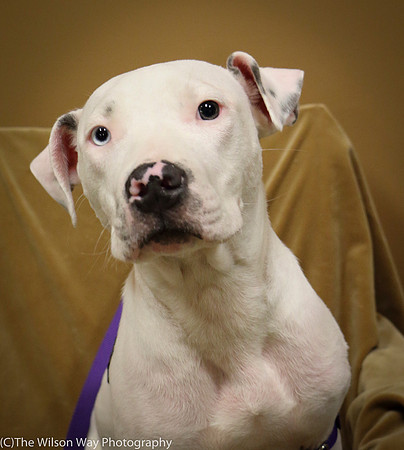 Foster Curt-0596