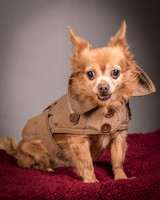 Foster Pancho-9519