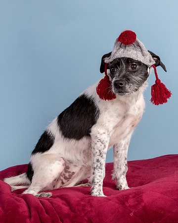 Foster Billie-8238