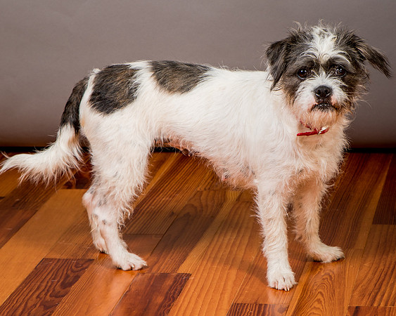 Foster Leeza-2868
