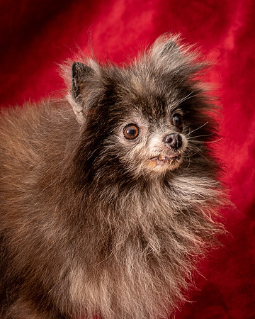 Foster Loretta-1374