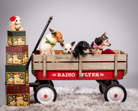 Foster Hospice Gang-3815