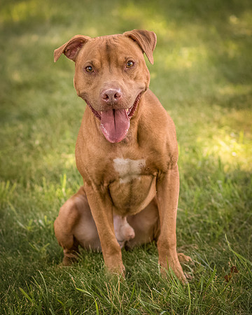 Foster Pablo-8003