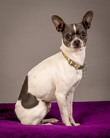 Foster Wesley-4935