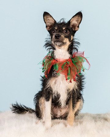 Foster Riley-4992