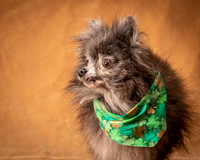Foster Loretta-1243