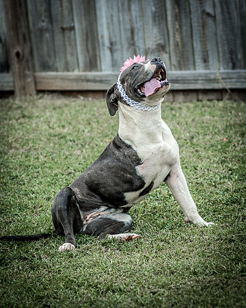 Foster Maya-0349