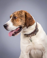 Foster Daniel-6326
