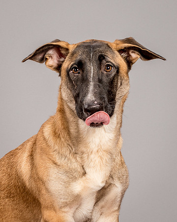 Foster Gabby-4023
