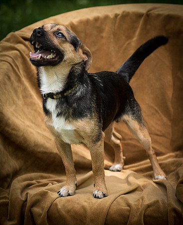 Foster Calvin-0807
