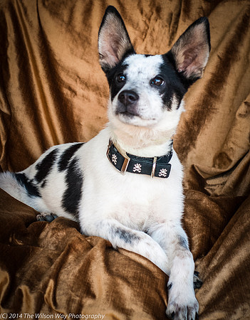 Foster Oliver-8957