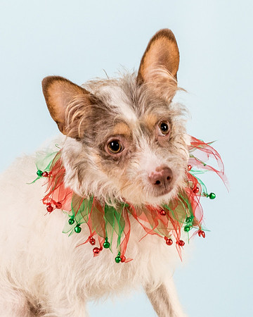 Foster Reagan-4942
