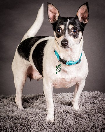 Foster Richa-0445
