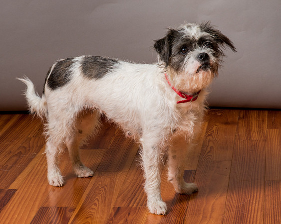 Foster Leeza-2848
