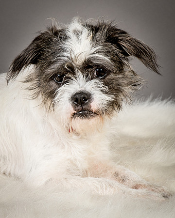 Foster Leeza-2588