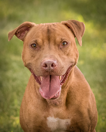 Foster Pablo-8007