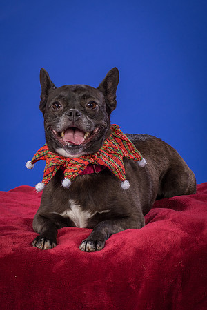 Slattery-Bella-0081