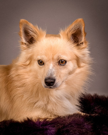 Foster Sergio-8132