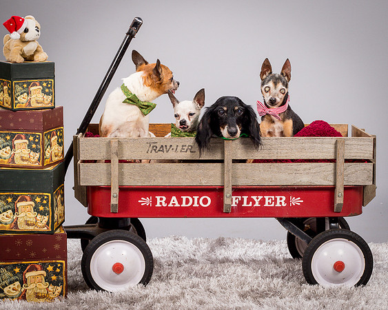 Foster Hospice Gang-3831