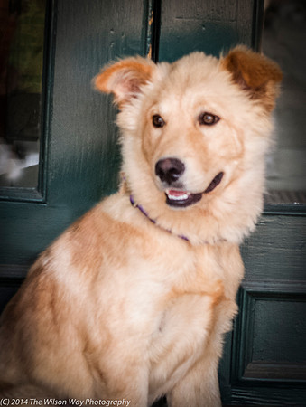 Foster Presha-9425