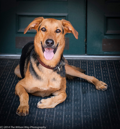 Foster Caesar-9418