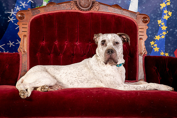 Foster Sylvester-0972