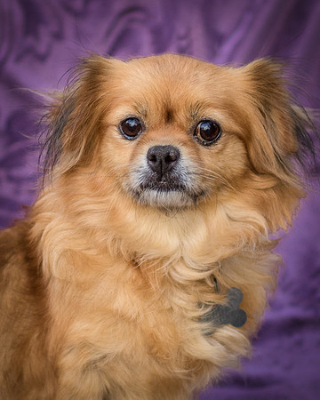 Foster Tia Maria-7898