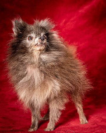 Foster Loretta-1352