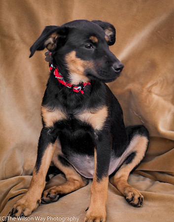 Foster Holister-9733