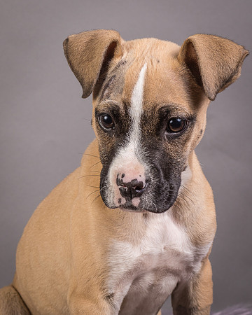 Foster Barnabas-4483