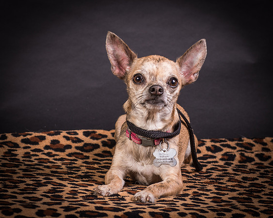 Foster Selina-1208