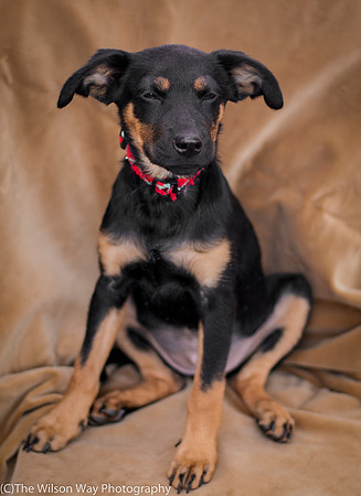 Foster Holister-9732