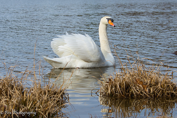 20131220-SJF_4183