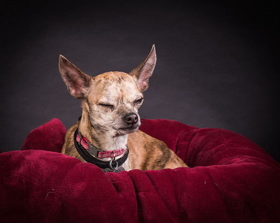 Foster Selina-1119