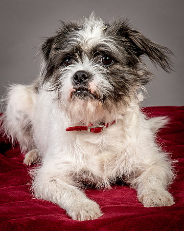 Foster Leeza-2692