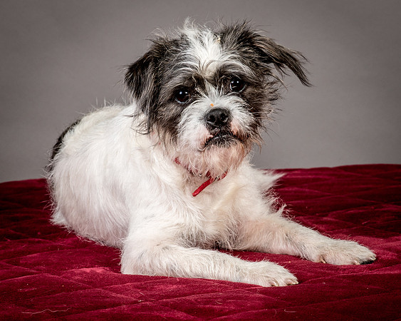 Foster Leeza-2737