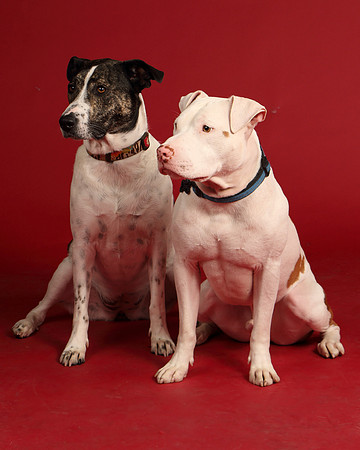 Grace and Mello-5447